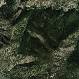Aerial view of Yellow Pine