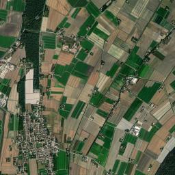 Bosco Mesola High Resolution Satellite Map