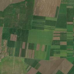 Comuna Roşiori High Resolution Satellite Map