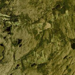Aerial view of Selleck Road