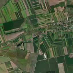 Puieni High Resolution Satellite Map