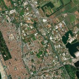 Viareggio High Resolution Satellite Map