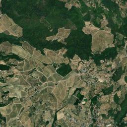 Pelago High Resolution Satellite Map