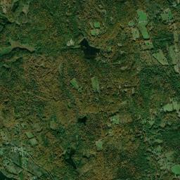 Deering High Resolution Satellite Map