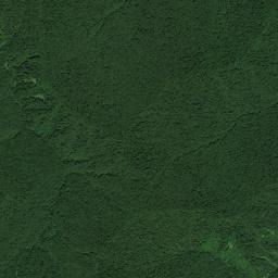 Achkhoy-Martanovskiy Rayon High Resolution Satellite Map