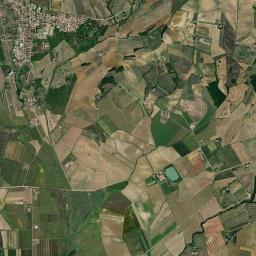 Ribolla High Resolution Satellite Map