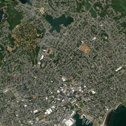 Lynn High Resolution Satellite Map