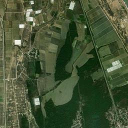 Novokayakent High Resolution Satellite Map