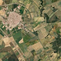 Paredes de Nava High Resolution Satellite Map