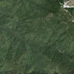Aerial view of Streams around Oregon Caves