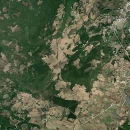 Salcito High Resolution Satellite Map