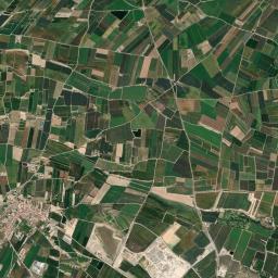 Castellnou de Seana High Resolution Satellite Map