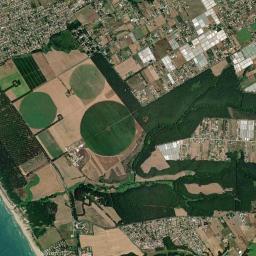 Lido dei Pini High Resolution Satellite Map
