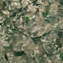 Cozuelos de Fuentidueña High Resolution Satellite Map