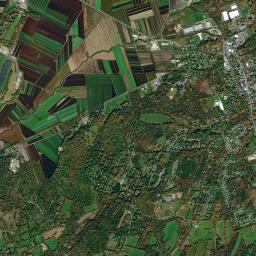 Florida High Resolution Satellite Map