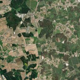 Vairão High Resolution Satellite Map