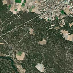 Pedrajas de San Esteban High Resolution Satellite Map