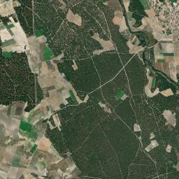 Remondo High Resolution Satellite Map