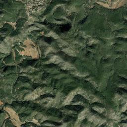 Olivella High Resolution Satellite Map