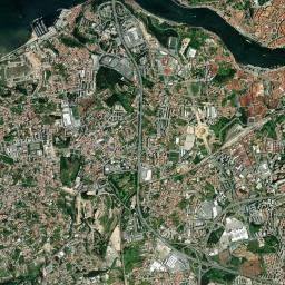 Canidelo High Resolution Satellite Map