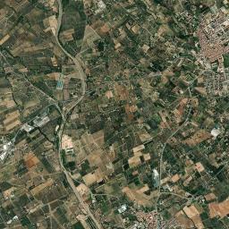 Riudoms High Resolution Satellite Map