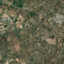 Palombaio High Resolution Satellite Map