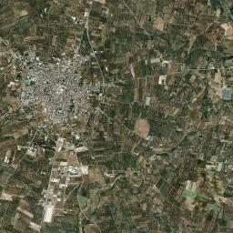 Sannicandro di Bari High Resolution Satellite Map