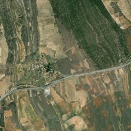 Algora High Resolution Satellite Map