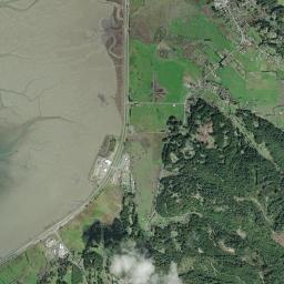 Bayside High Resolution Satellite Map