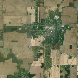 Forest High Resolution Satellite Map