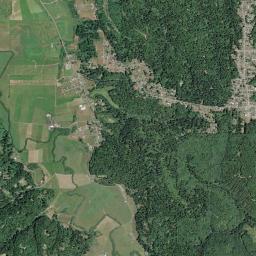 Pine Hills High Resolution Satellite Map