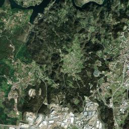 Oliveira de Frades High Resolution Satellite Map