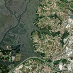Esgueira High Resolution Satellite Map
