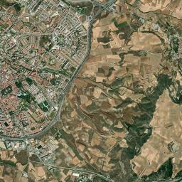 Guadalajara High Resolution Satellite Map