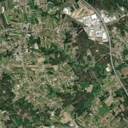 Oliveira do Bairro High Resolution Satellite Map