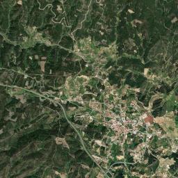Proença-a-Nova High Resolution Satellite Map
