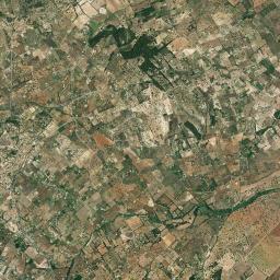 Selva High Resolution Satellite Map