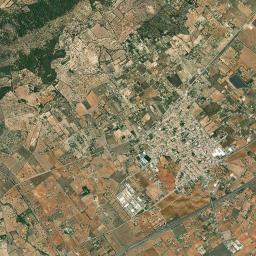 Binissalem High Resolution Satellite Map