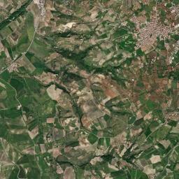 San Lorenzo del Vallo High Resolution Satellite Map