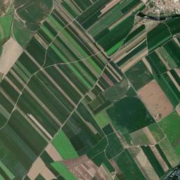 Golegã High Resolution Satellite Map