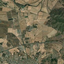 Siliqua High Resolution Satellite Map