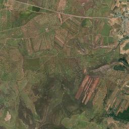 Alamillo High Resolution Satellite Map