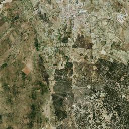 Salvaleón High Resolution Satellite Map