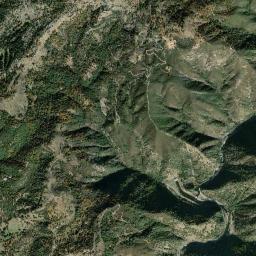 Forest Meadows High Resolution Satellite Map