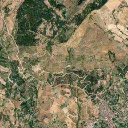 Bivona High Resolution Satellite Map