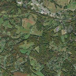 Forest High Resolution Satellite Map