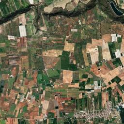 Pedalino High Resolution Satellite Map