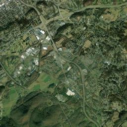 Pine Crest High Resolution Satellite Map
