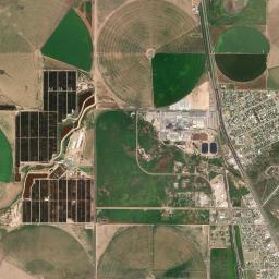 Cactus High Resolution Satellite Map