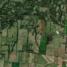 1385 Resthome Road, Dyersburg, TN Satellite Map